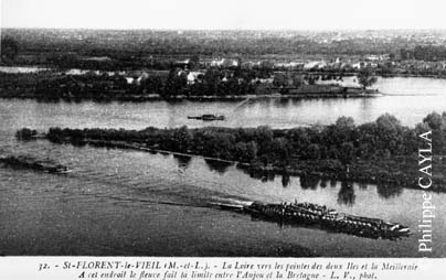 slide0002_image002
