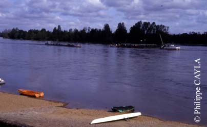 slide0015_image015