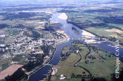 slide0006_image008