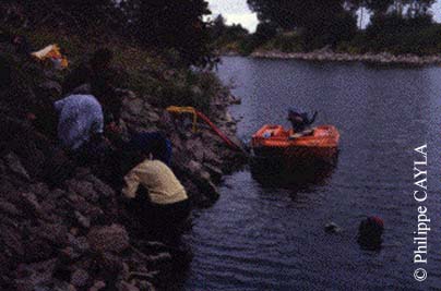 slide0049_image065