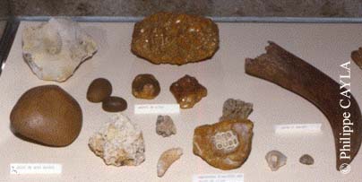 slide0060_image083