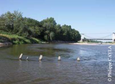 slide0080_image113