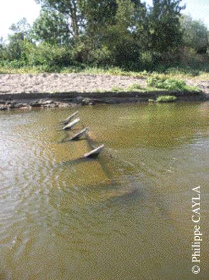 slide0080_image114