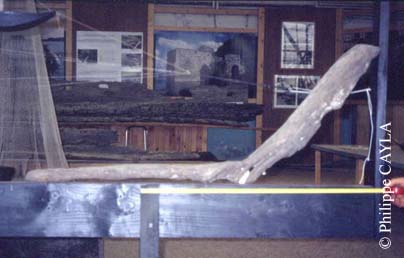 slide0099_image133