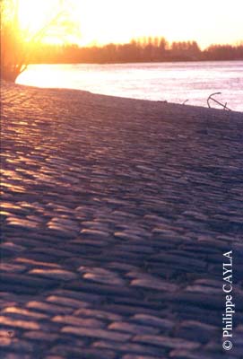 slide0007_image007