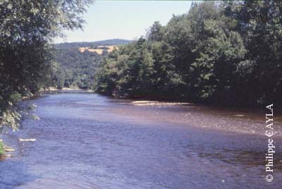 slide0018_image018