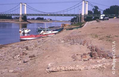 slide0063_image063