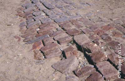 slide0064_image064