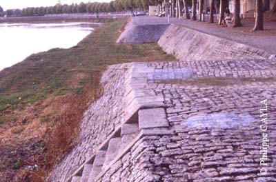 slide0011_image011