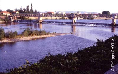 slide0013_image013