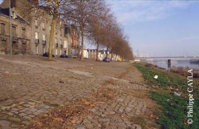 slide0001_image001