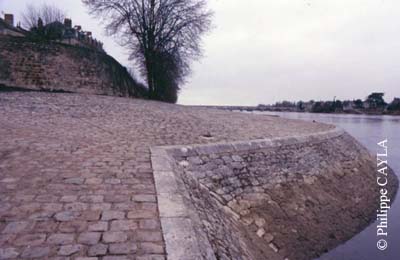 slide0003_image003