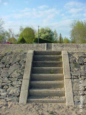 slide0054_image054
