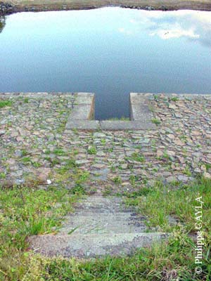 slide0065_image065
