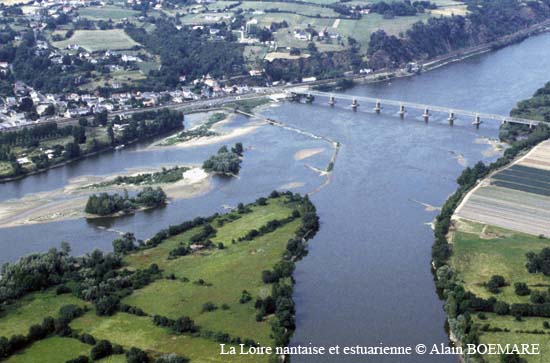 929-Mauves-sur-Loire