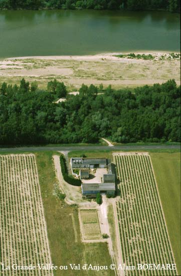 801 - Chouze-sur-Loire