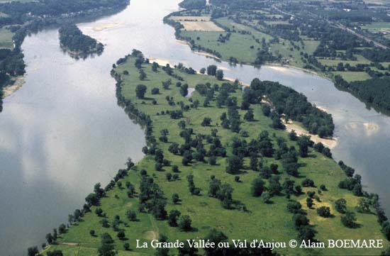 826-Saumur - l'ile Ardouin