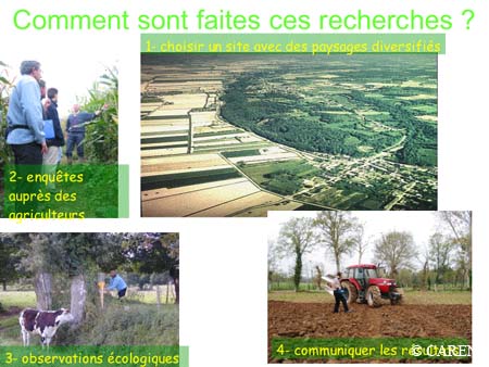 Slide0012