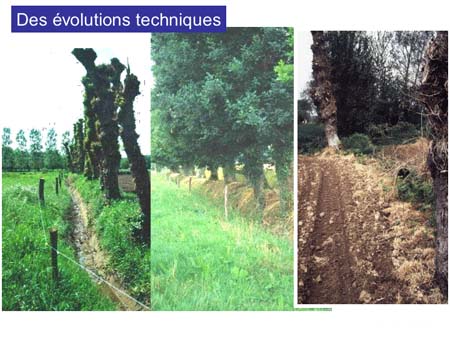 Slide0020