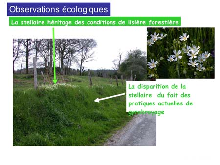 Slide0028