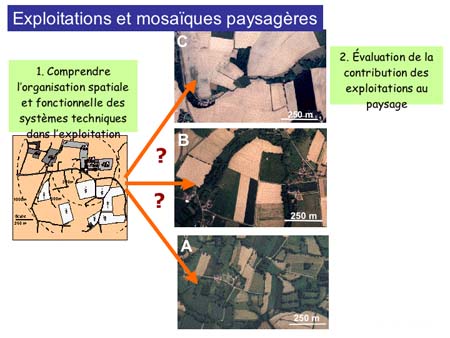 Slide0031