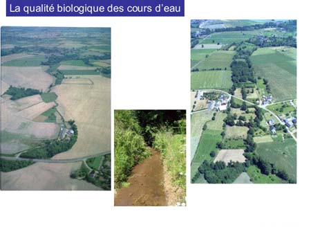 Slide0036