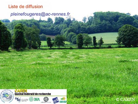 Slide0038