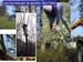 Slide0027