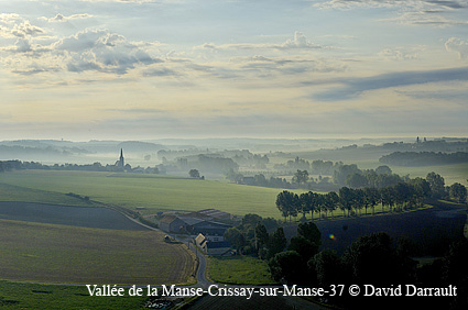 a_crissay _manse