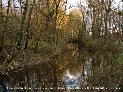 a04 - la Brenne