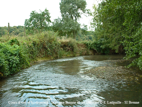 a05 - la Brenne