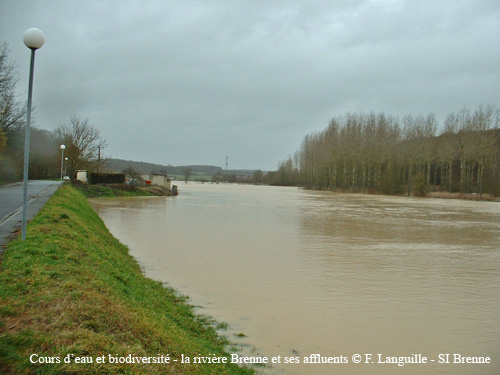 a06 - la Brenne
