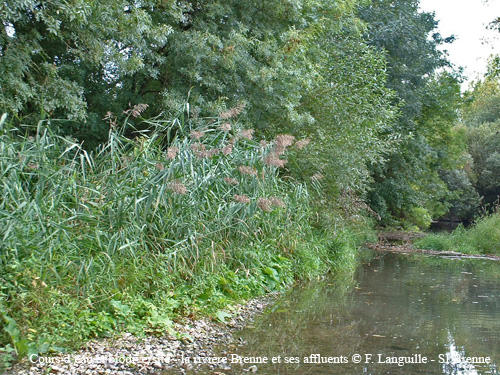 a07 - la Brenne