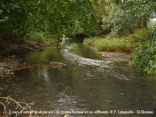 a09 - la Brenne