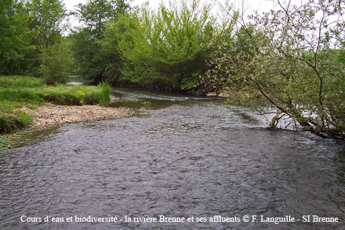 a13 - la Brenne