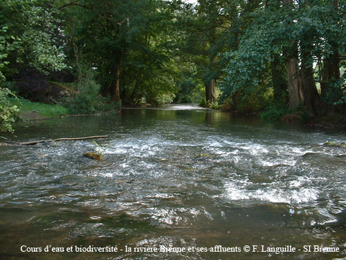 a23 - la Brenne