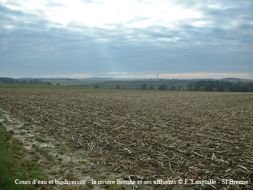 f01 - un paysage de #4FE4E6