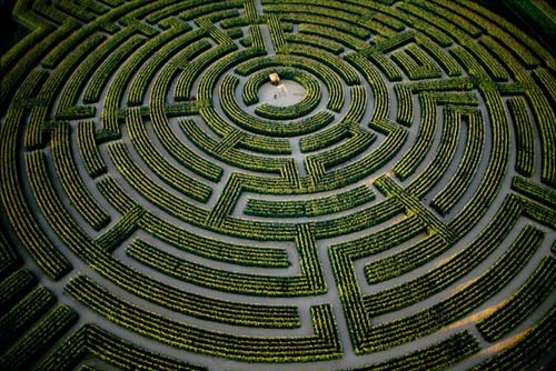 12-Labyrinthe veget#48207F