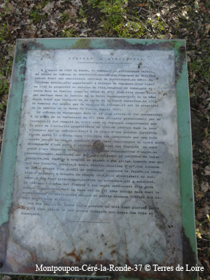 4c-0008-P1060189