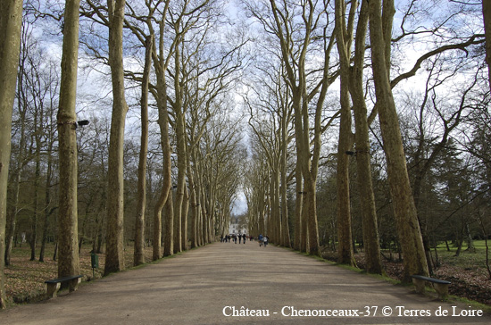 002-chenonceau-4