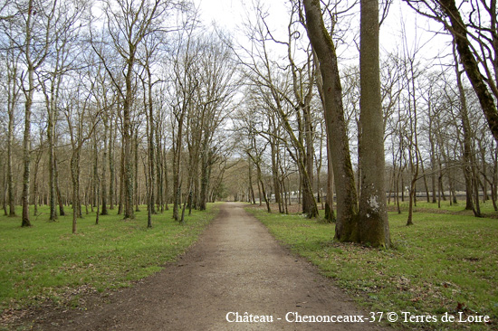 009-chenonceau-11