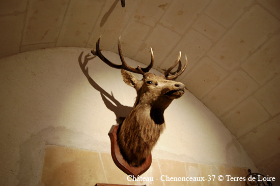 031-chenonceau-108