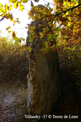 ayIMGP2801v
