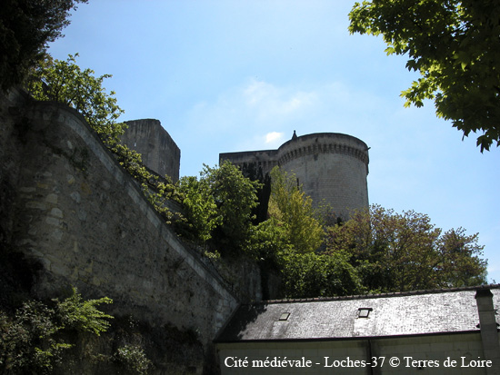 028-DSCN1339