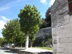 027-DSCN1338