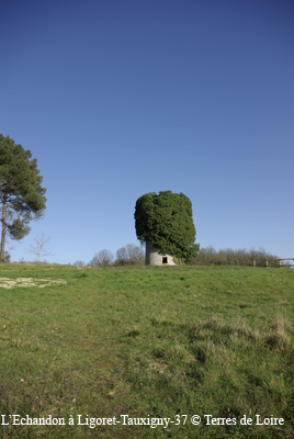 4c-0042-SG102997
