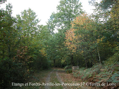 fDSCN5539