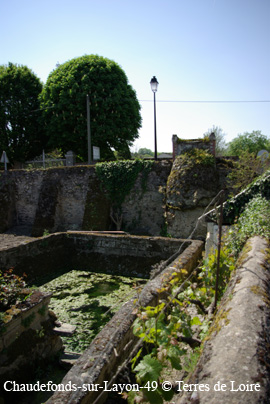 SG106226