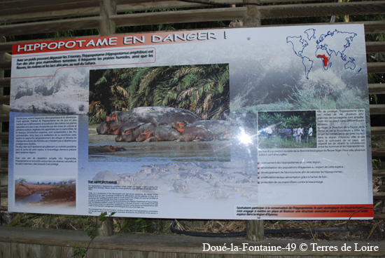 166-DSC_2349