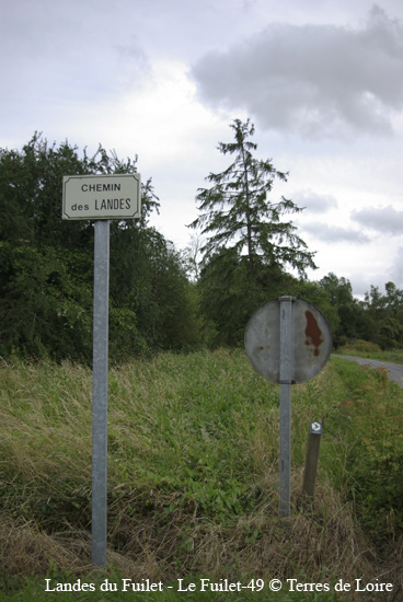 001-SG100275